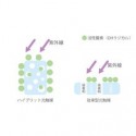 プリマヴェーラサークルPro