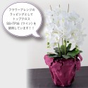 はっ水 トップクロス
