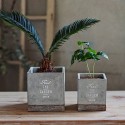 【プランター/鉢】FEEL THE GARDEN ｾﾒﾝﾄﾌﾟﾗﾝﾀｰ ｽｸｴｱ Sｻｲｽﾞ