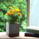 【プランター/鉢】FEEL THE GARDEN ｾﾒﾝﾄﾌﾟﾗﾝﾀｰ ｽｸｴｱ Sｻｲｽﾞ